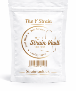 The Y Strain
